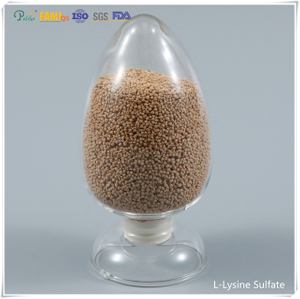 Přísada do krmiv lysin sulfát 70% krmná kvalita