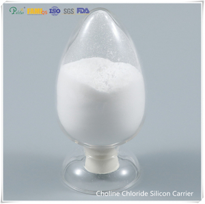 Cholin Chlorid Silicon Carrier krmná třída 50%