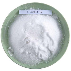 L-karnitin výživový doplněk potravinové aminokyseliny CAS 541-15-1